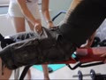 Hot Training Part 1