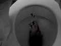 3x Kacken