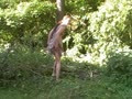 Kaviar beim Spaziergang