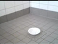 Scheisse auf dem Teller