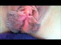 Spritziger-Ns-Spass-Hd-Nahaufn..