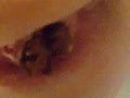 Hard chocolate and hot pee in the bathroom