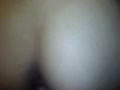 Thai-Pussy-Fick2
